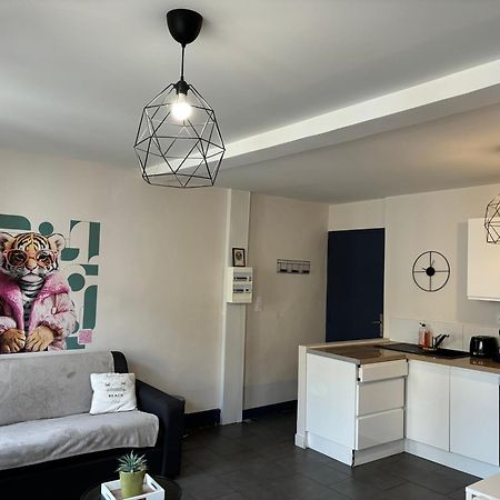 Spacieux, Climatise, Quartier Calme, Proche Chateau, Le Cocon De Joy Carcassonne Eksteriør bilde